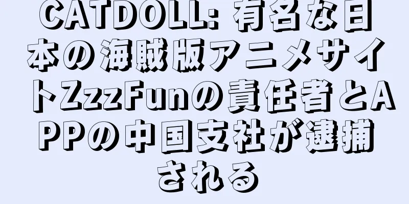 CATDOLL: 有名な日本の海賊版アニメサイトZzzFunの責任者とAPPの中国支社が逮捕される