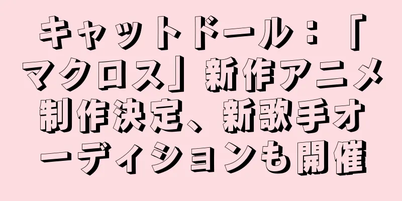 キャットドール：「マクロス」新作アニメ制作決定、新歌手オーディションも開催