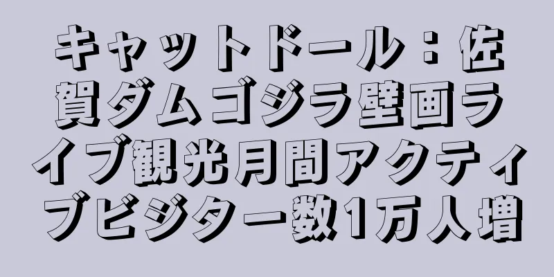 キャットドール：佐賀ダムゴジラ壁画ライブ観光月間アクティブビジター数1万人増