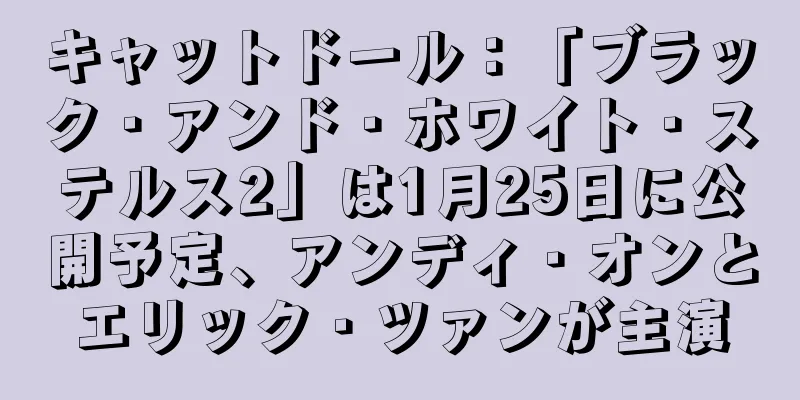 キャットドール：「ブラック・アンド・ホワイト・ステルス2」は1月25日に公開予定、アンディ・オンとエリック・ツァンが主演