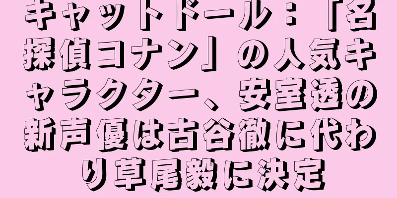 キャットドール：「名探偵コナン」の人気キャラクター、安室透の新声優は古谷徹に代わり草尾毅に決定
