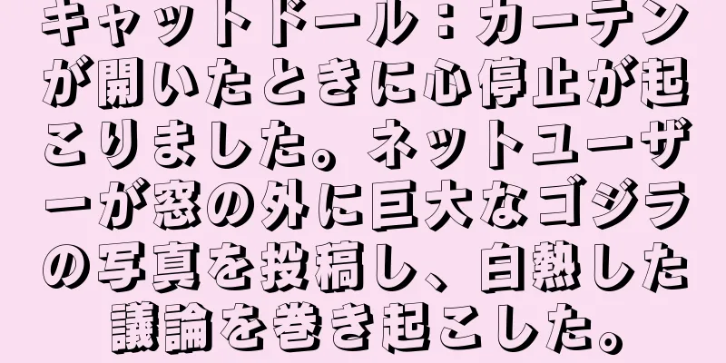 キャットドール：カーテンが開いたときに心停止が起こりました。ネットユーザーが窓の外に巨大なゴジラの写真を投稿し、白熱した議論を巻き起こした。