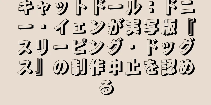 キャットドール：ドニー・イェンが実写版『スリーピング・ドッグス』の制作中止を認める