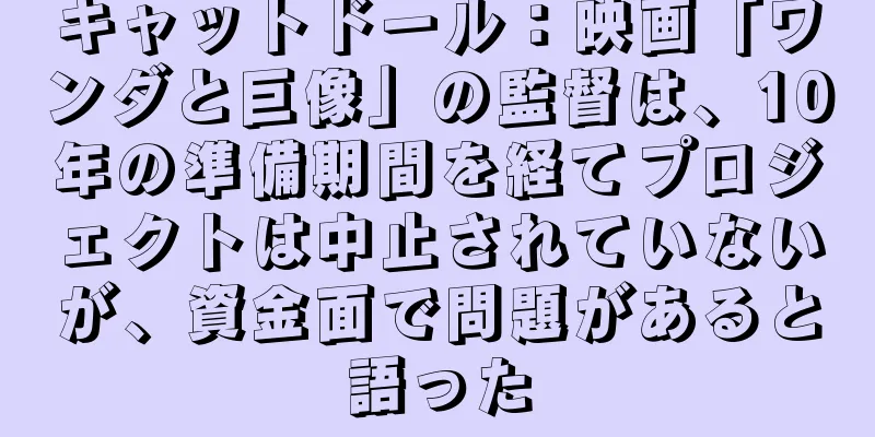 キャットドール：映画「ワンダと巨像」の監督は、10年の準備期間を経てプロジェクトは中止されていないが、資金面で問題があると語った