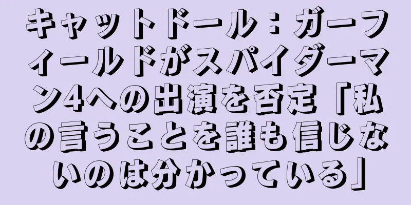 キャットドール：ガーフィールドがスパイダーマン4への出演を否定「私の言うことを誰も信じないのは分かっている」