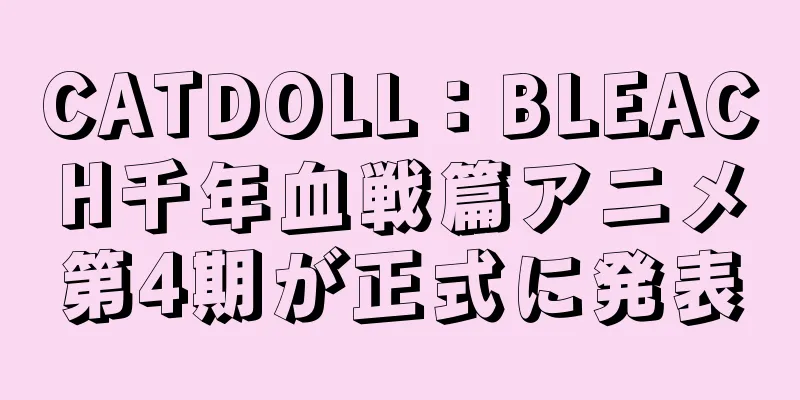 CATDOLL：BLEACH千年血戦篇アニメ第4期が正式に発表
