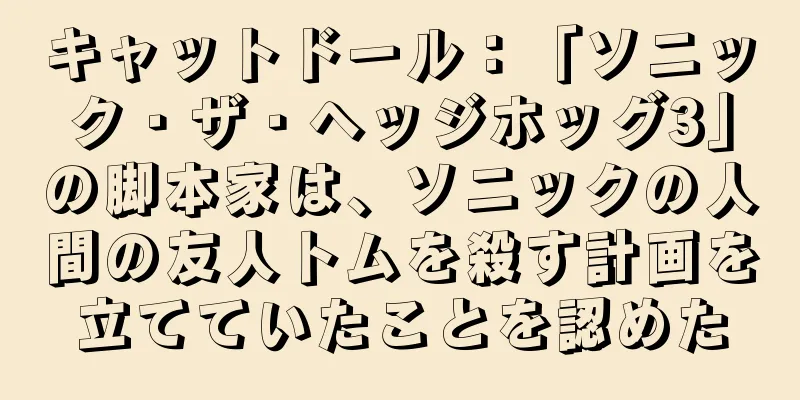 キャットドール：「ソニック・ザ・ヘッジホッグ3」の脚本家は、ソニックの人間の友人トムを殺す計画を立てていたことを認めた
