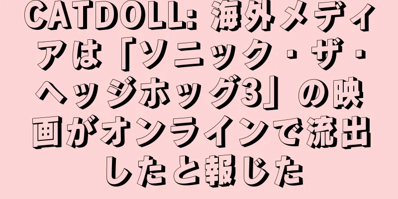 CATDOLL: 海外メディアは「ソニック・ザ・ヘッジホッグ3」の映画がオンラインで流出したと報じた