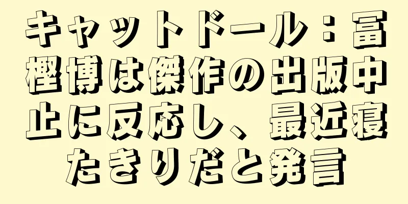キャットドール：冨樫博は傑作の出版中止に反応し、最近寝たきりだと発言