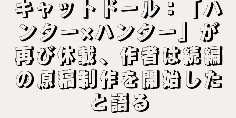 キャットドール：「ハンター×ハンター」が再び休載、作者は続編の原稿制作を開始したと語る