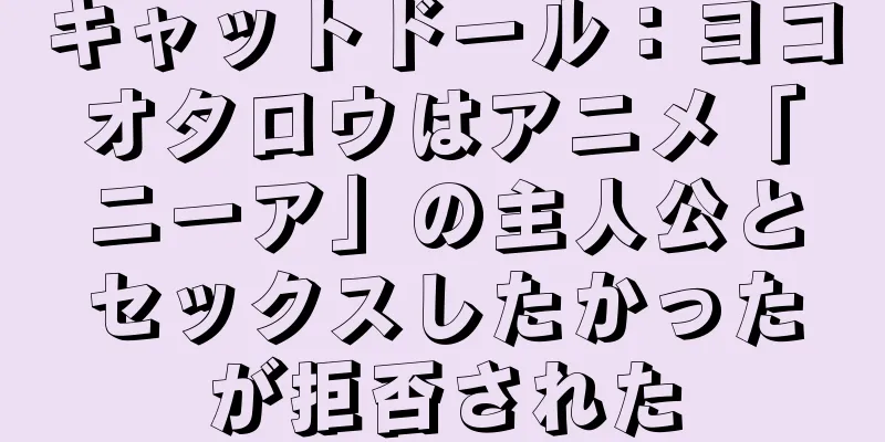キャットドール：ヨコオタロウはアニメ「ニーア」の主人公とセックスしたかったが拒否された