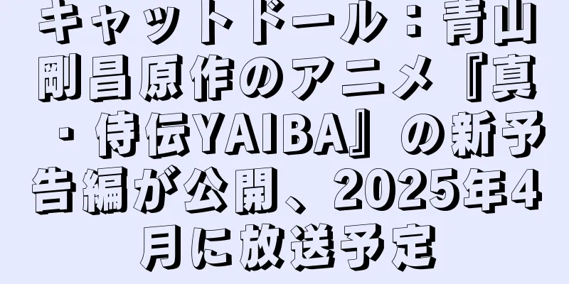 キャットドール：青山剛昌原作のアニメ『真・侍伝YAIBA』の新予告編が公開、2025年4月に放送予定