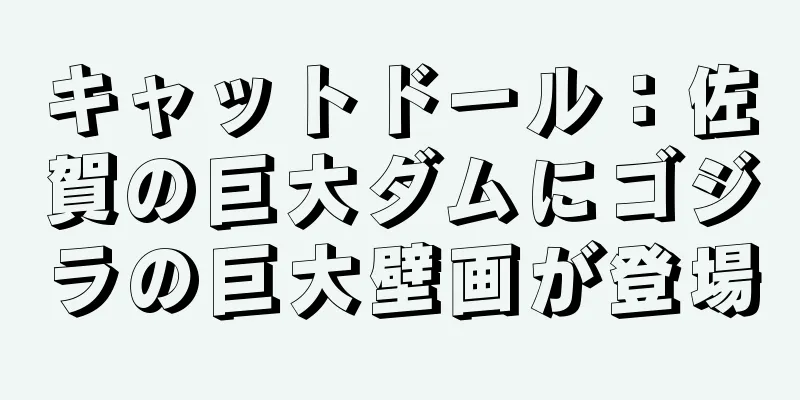 キャットドール：佐賀の巨大ダムにゴジラの巨大壁画が登場