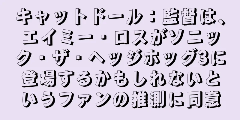 キャットドール：監督は、エイミー・ロスがソニック・ザ・ヘッジホッグ3に登場するかもしれないというファンの推測に同意