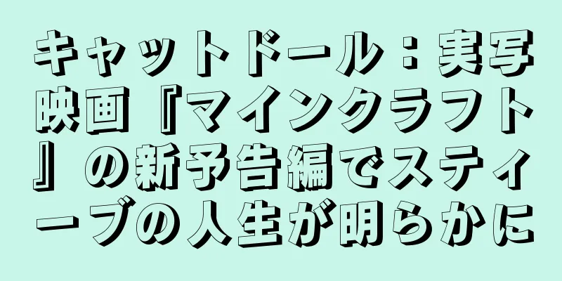 キャットドール：実写映画『マインクラフト』の新予告編でスティーブの人生が明らかに