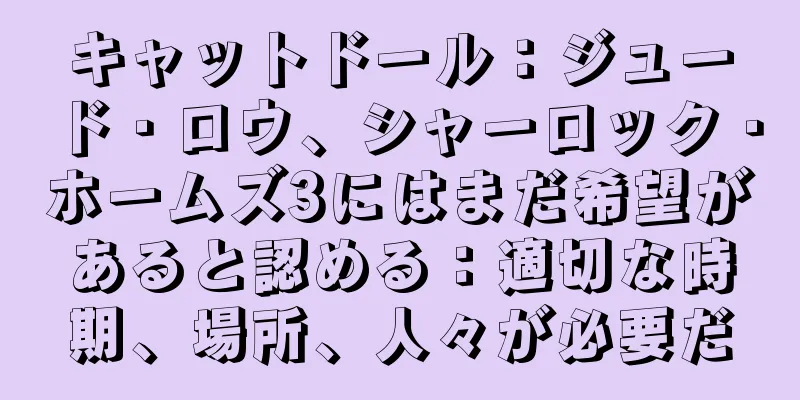 キャットドール：ジュード・ロウ、シャーロック・ホームズ3にはまだ希望があると認める：適切な時期、場所、人々が必要だ
