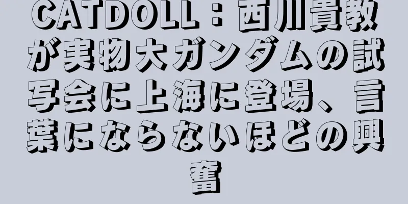 CATDOLL：西川貴教が実物大ガンダムの試写会に上海に登場、言葉にならないほどの興奮