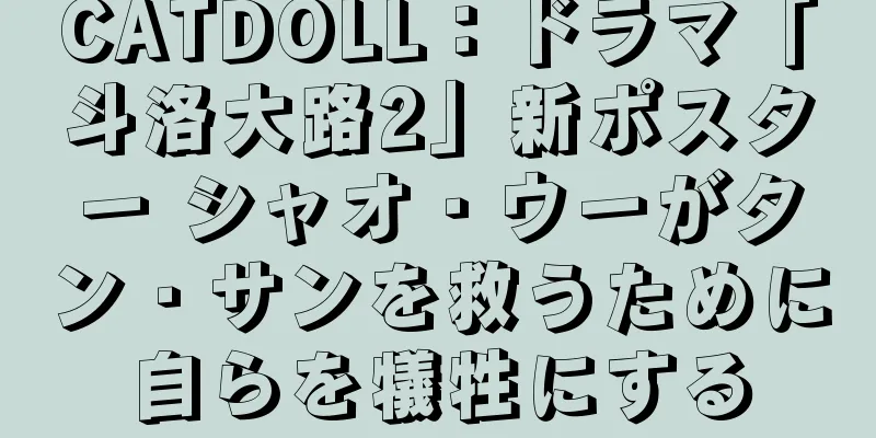 CATDOLL：ドラマ「斗洛大路2」新ポスター シャオ・ウーがタン・サンを救うために自らを犠牲にする