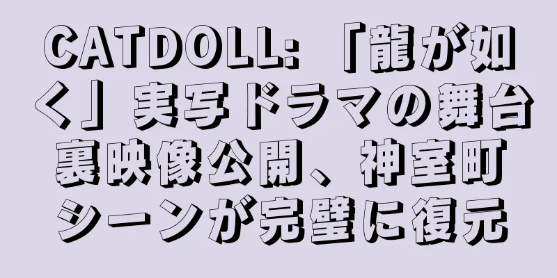 CATDOLL: 「龍が如く」実写ドラマの舞台裏映像公開、神室町シーンが完璧に復元