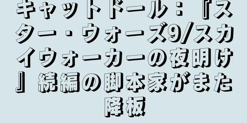 キャットドール：『スター・ウォーズ9/スカイウォーカーの夜明け』続編の脚本家がまた降板