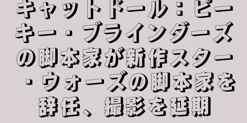 キャットドール：ピーキー・ブラインダーズの脚本家が新作スター・ウォーズの脚本家を辞任、撮影を延期
