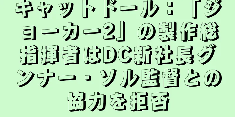キャットドール：「ジョーカー2」の製作総指揮者はDC新社長グンナー・ソル監督との協力を拒否