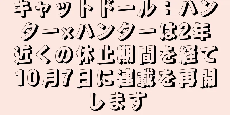キャットドール：ハンター×ハンターは2年近くの休止期間を経て10月7日に連載を再開します