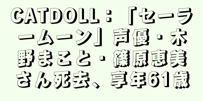 CATDOLL：「セーラームーン」声優・木野まこと・篠原恵美さん死去、享年61歳