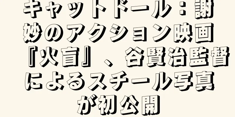 キャットドール：謝妙のアクション映画『火盲』、谷賢治監督によるスチール写真が初公開