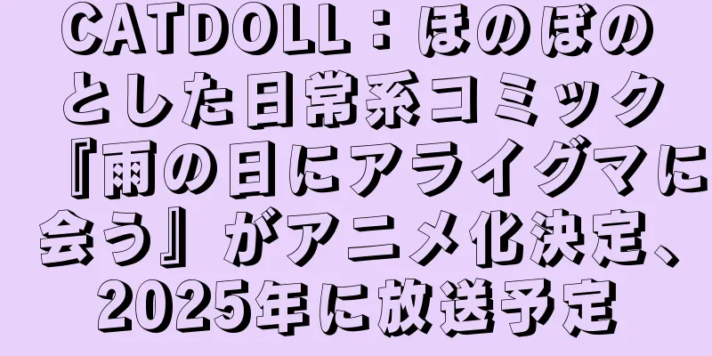 CATDOLL：ほのぼのとした日常系コミック『雨の日にアライグマに会う』がアニメ化決定、2025年に放送予定