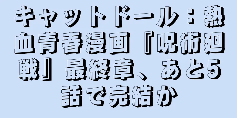 キャットドール：熱血青春漫画『呪術廻戦』最終章、あと5話で完結か