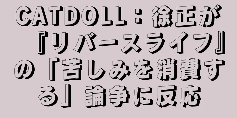 CATDOLL：徐正が『リバースライフ』の「苦しみを消費する」論争に反応