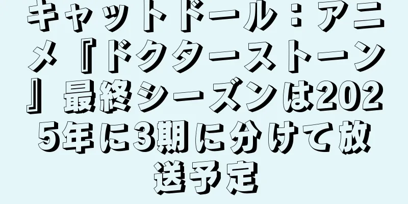 キャットドール：アニメ『ドクターストーン』最終シーズンは2025年に3期に分けて放送予定
