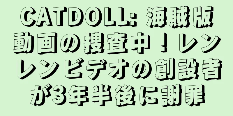 CATDOLL: 海賊版動画の捜査中！レンレンビデオの創設者が3年半後に謝罪