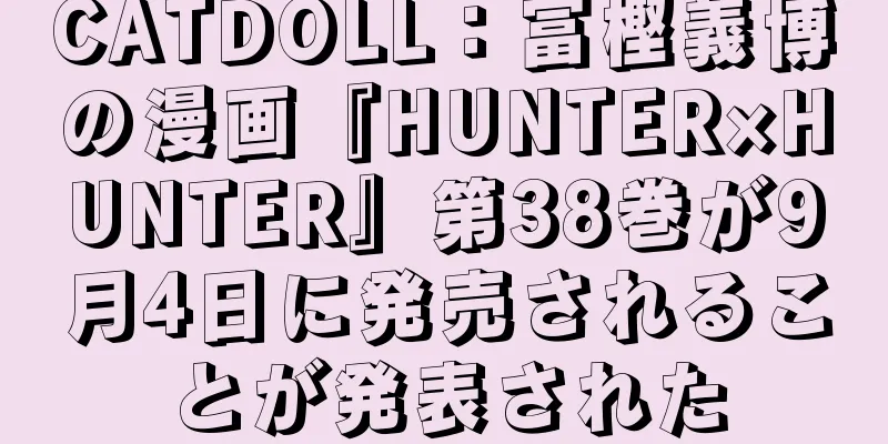 CATDOLL：冨樫義博の漫画『HUNTER×HUNTER』第38巻が9月4日に発売されることが発表された