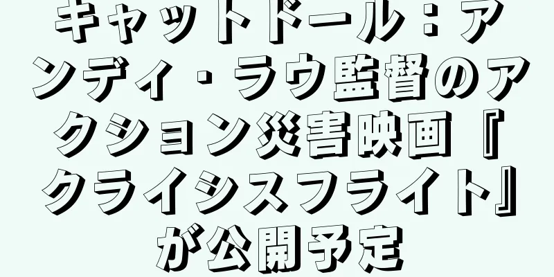 キャットドール：アンディ・ラウ監督のアクション災害映画『クライシスフライト』が公開予定