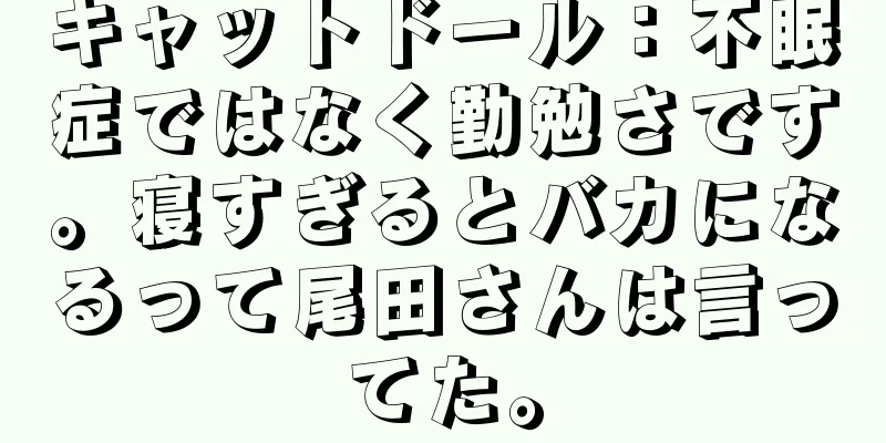キャットドール：不眠症ではなく勤勉さです。寝すぎるとバカになるって尾田さんは言ってた。