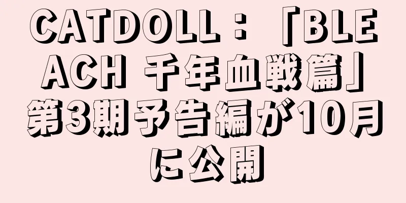 CATDOLL：「BLEACH 千年血戦篇」第3期予告編が10月に公開