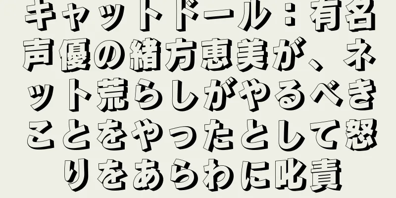 キャットドール：有名声優の緒方恵美が、ネット荒らしがやるべきことをやったとして怒りをあらわに叱責