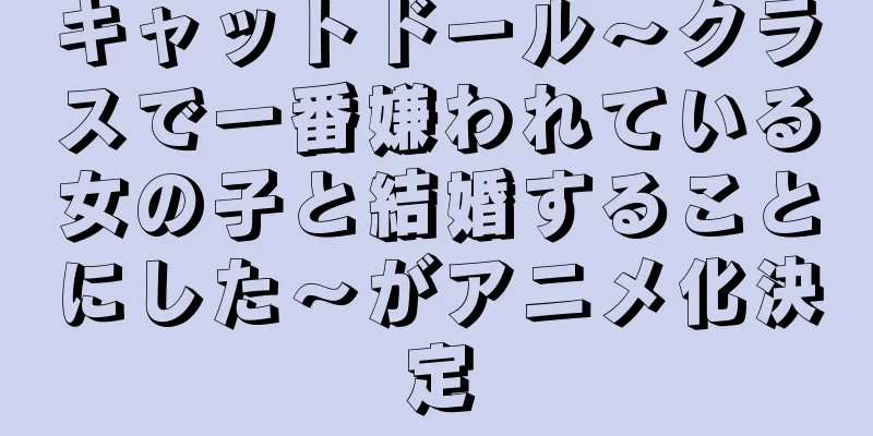 キャットドール～クラスで一番嫌われている女の子と結婚することにした～がアニメ化決定