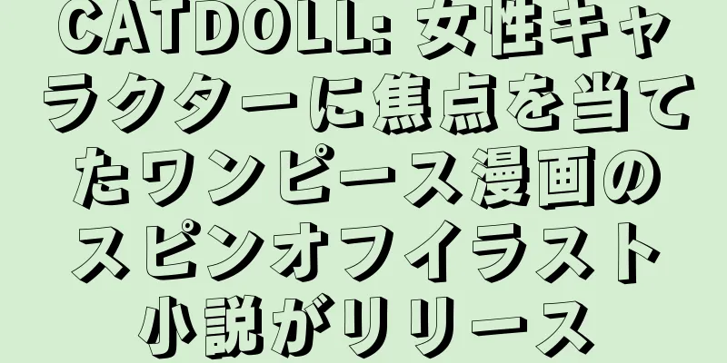 CATDOLL: 女性キャラクターに焦点を当てたワンピース漫画のスピンオフイラスト小説がリリース