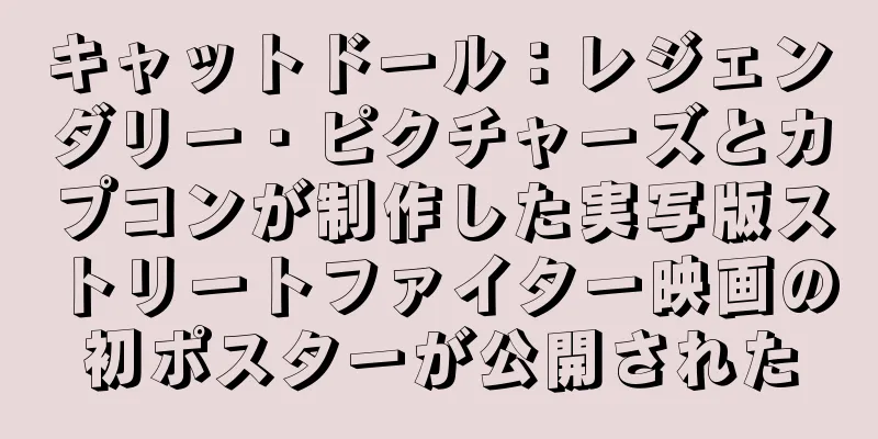 キャットドール：レジェンダリー・ピクチャーズとカプコンが制作した実写版ストリートファイター映画の初ポスターが公開された