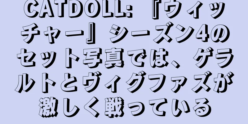 CATDOLL: 『ウィッチャー』シーズン4のセット写真では、ゲラルトとヴィグファズが激しく戦っている