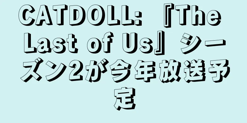CATDOLL: 『The Last of Us』シーズン2が今年放送予定