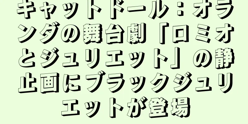 キャットドール：オランダの舞台劇「ロミオとジュリエット」の静止画にブラックジュリエットが登場