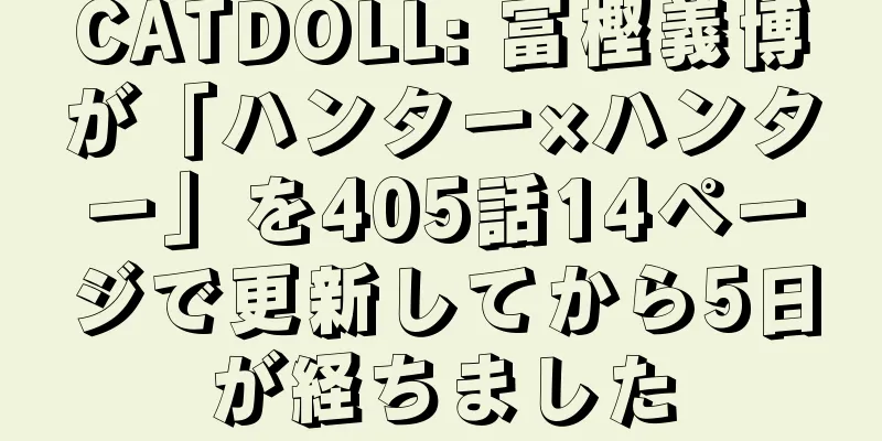 CATDOLL: 冨樫義博が「ハンター×ハンター」を405話14ページで更新してから5日が経ちました