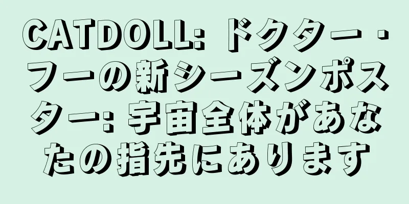 CATDOLL: ドクター・フーの新シーズンポスター: 宇宙全体があなたの指先にあります