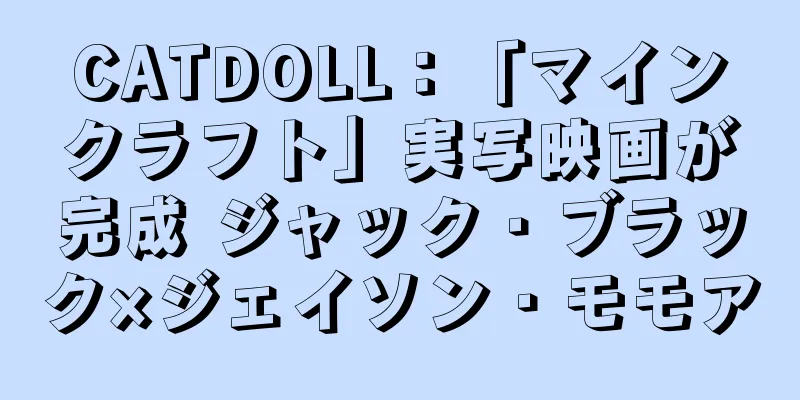 CATDOLL：「マインクラフト」実写映画が完成 ジャック・ブラック×ジェイソン・モモア
