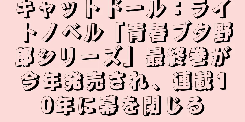 キャットドール：ライトノベル「青春ブタ野郎シリーズ」最終巻が今年発売され、連載10年に幕を閉じる