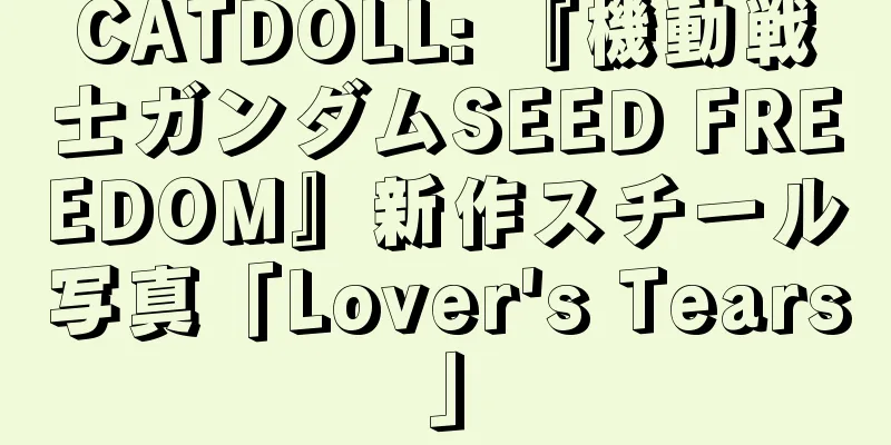 CATDOLL: 『機動戦士ガンダムSEED FREEDOM』新作スチール写真「Lover's Tears」